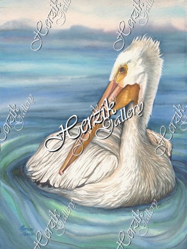 White Pelican (Print)