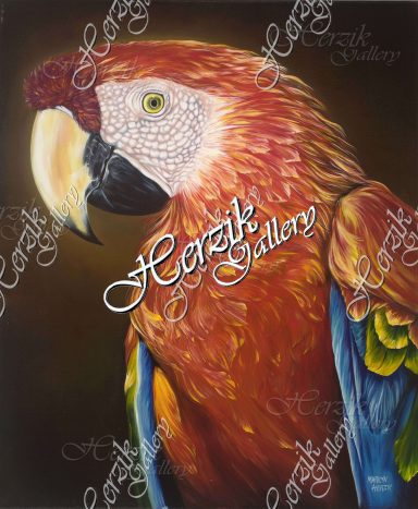 "Jessica" - Scarlet Macaw (Print)