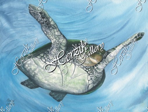#7 Sea Turtle (Print)